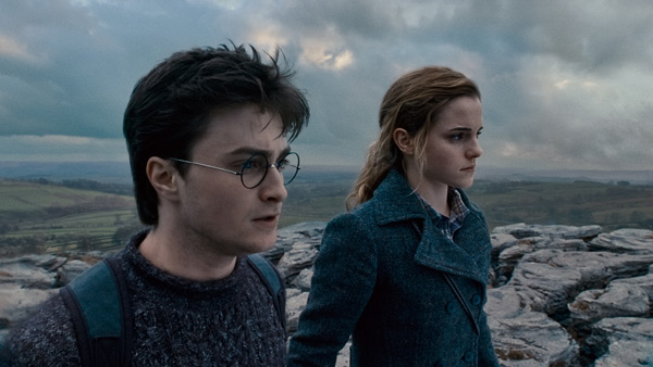 Harry Potter and the Deathly Hallows: Part 1 - Daniel Radcliffe and Emma Watson