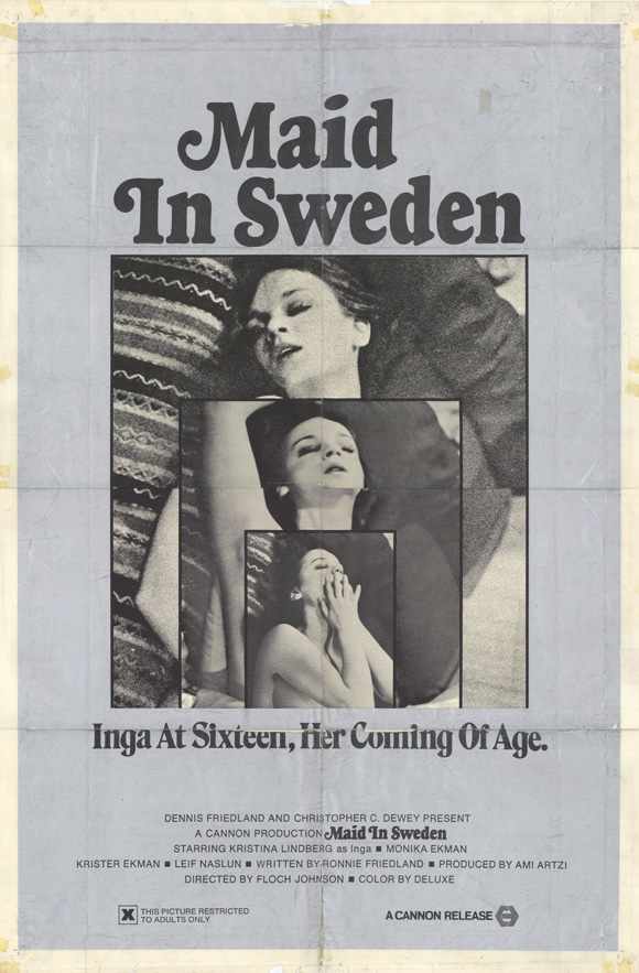 Maid in Sweden poster