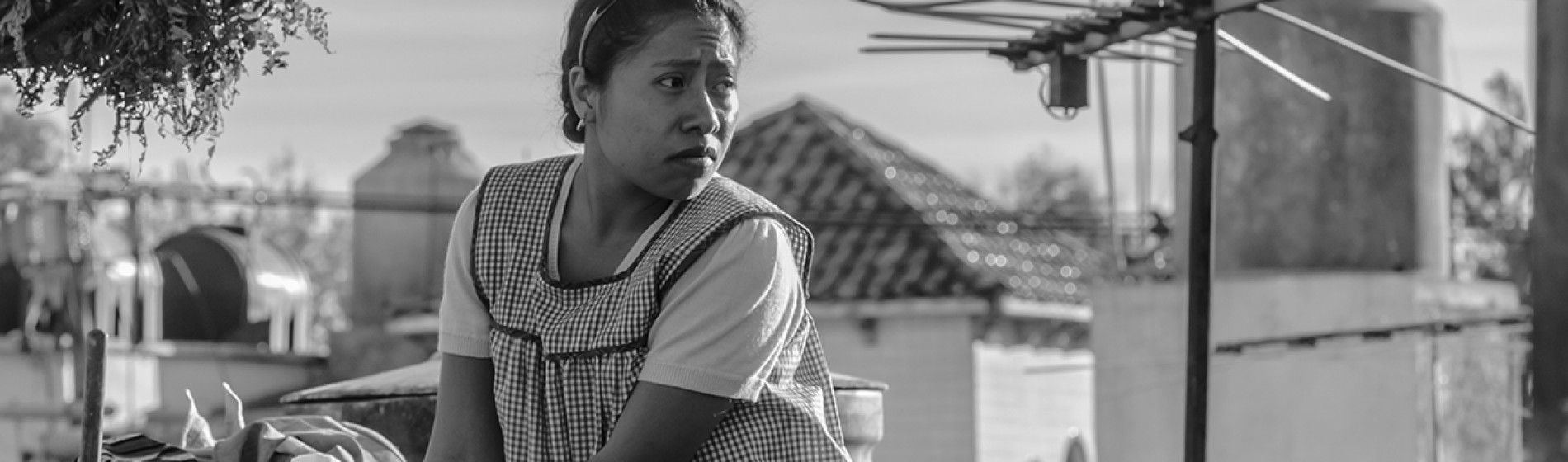 TIFF 2018 Roma Review Featured