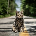Pet-Sematary-2019