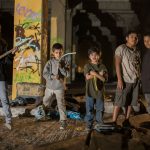 tigers-are-not-afraid-feature-image