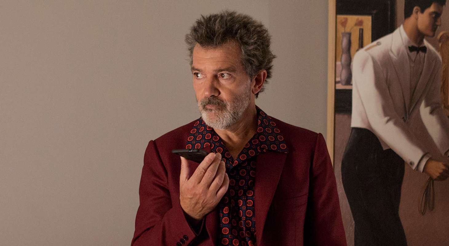 TIFF 2019 Pain and Glory