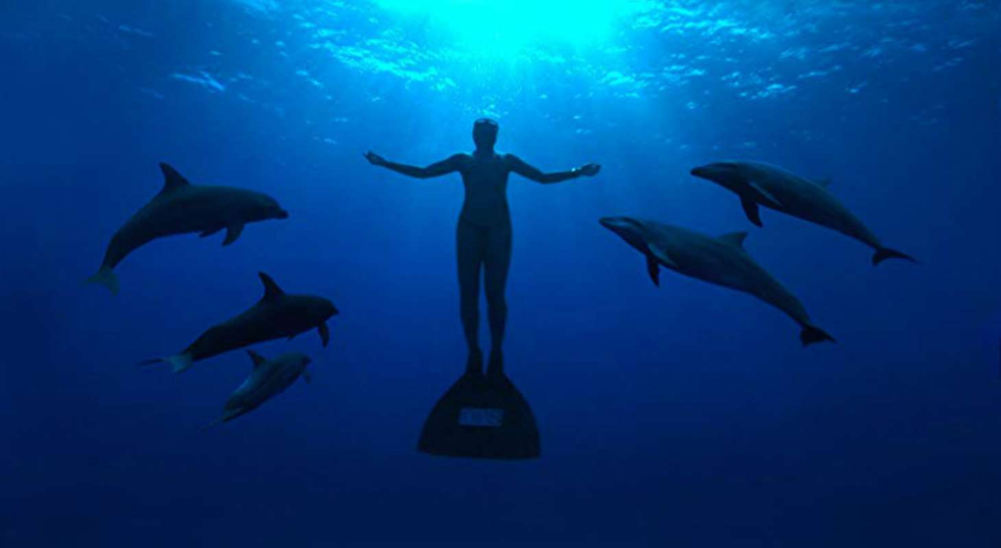 pif-the-cove