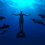 pif-the-cove
