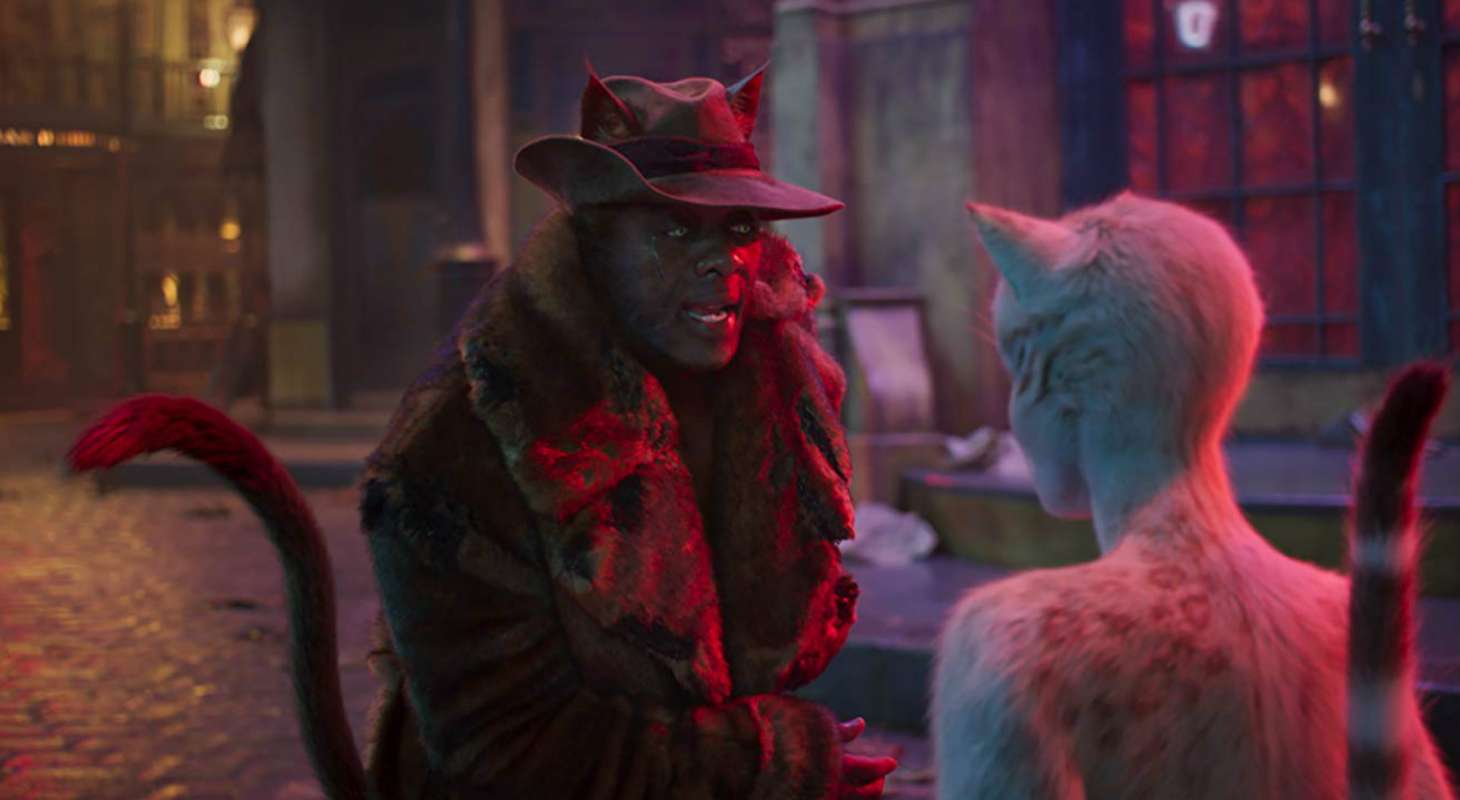 cats-feature-image