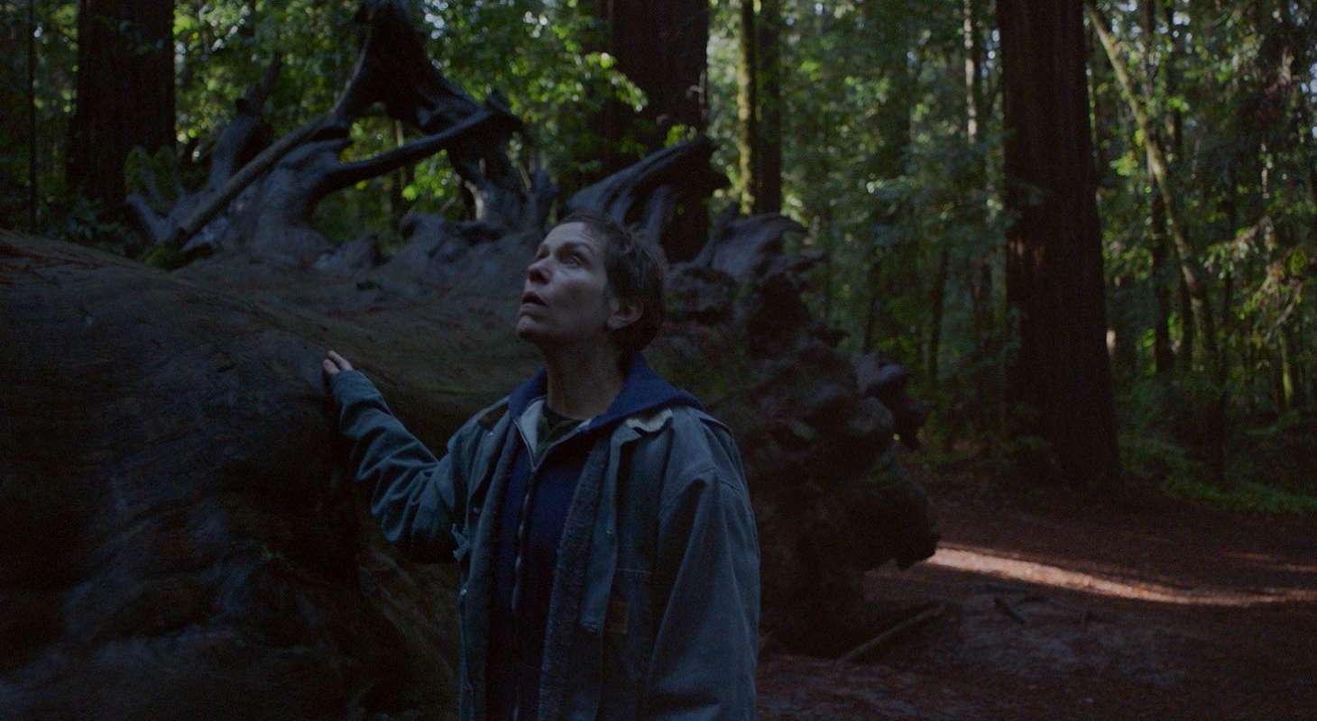 Nomadland Best Films of 2020