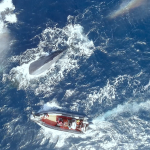 A scene from The Loneliest Whale: The Search for 52