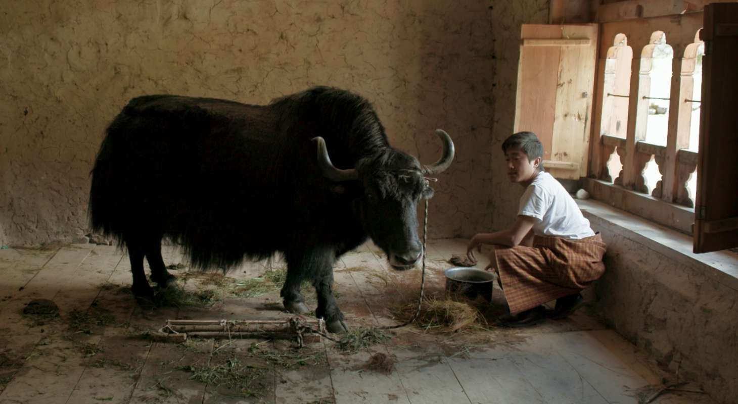 Lunana: A Yak in the Classroom with his teacher
