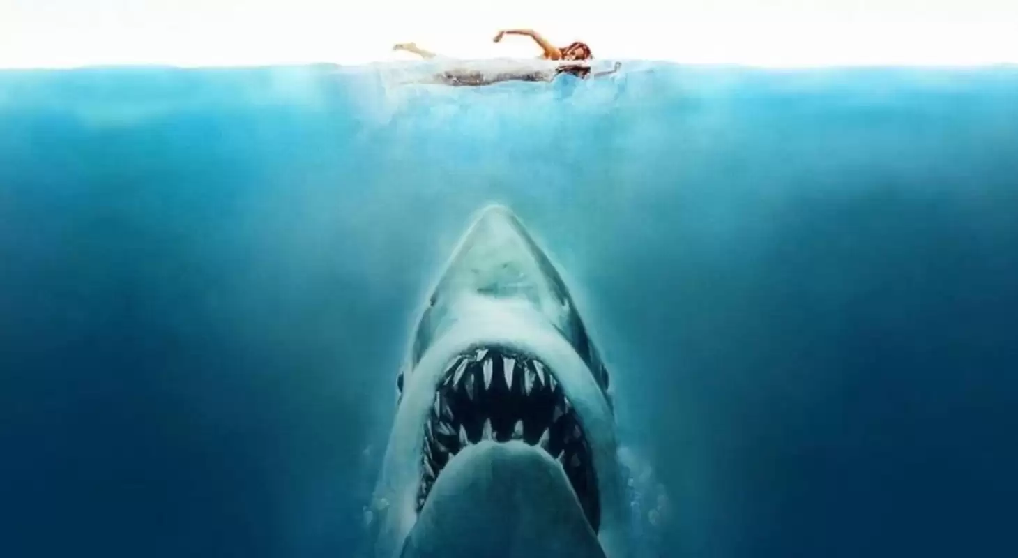 Jaws Metro Morning Oct 28
