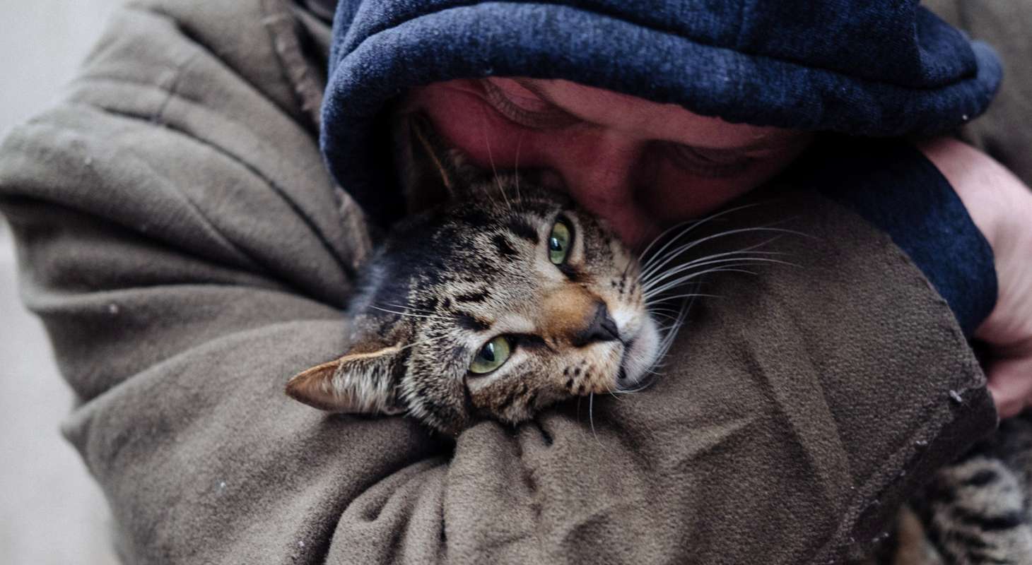 David Giovanni hugs his cat Lucky in New York City in Cat Daddies documentary