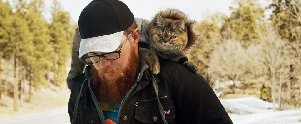Professional truck driver David Durst carries his cat Tora on his shoulder while stopping in Flagstaff, AZ. 