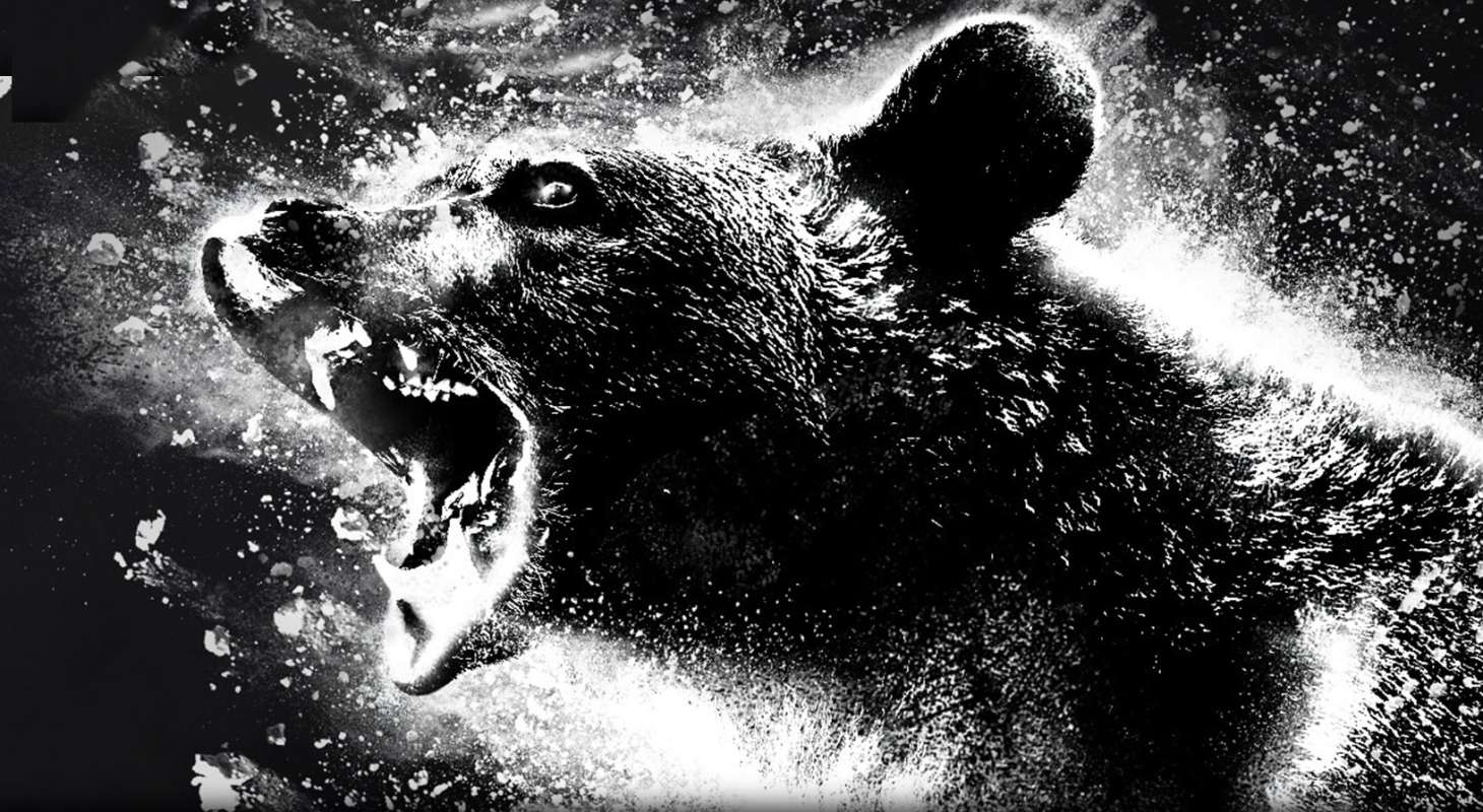 COCAINE BEAR