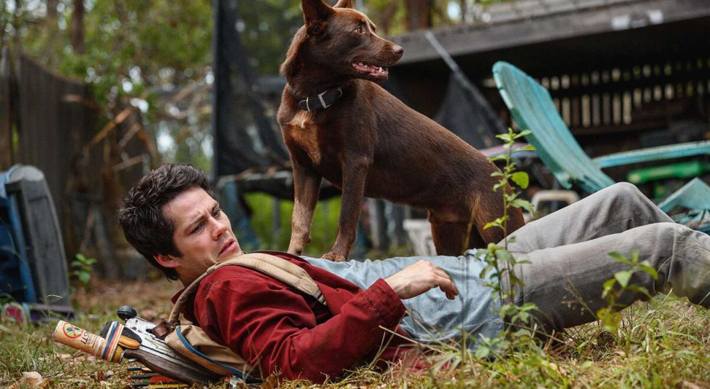 A dog sits on the chest of Dylan O'Brien, who is laying on the ground, wearing a red hoodie