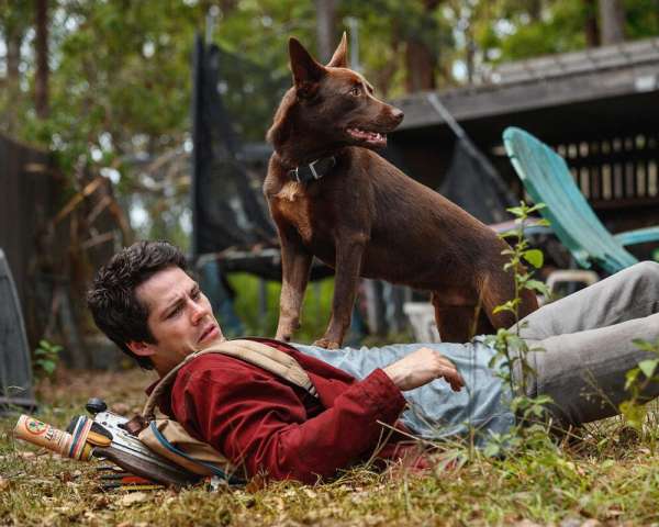 A dog sits on the chest of Dylan O'Brien, who is laying on the ground, wearing a red hoodie