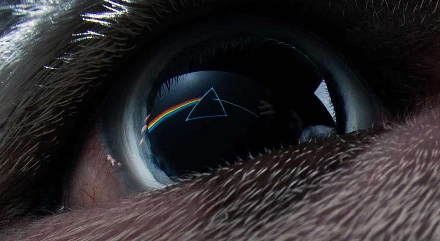 Dark Side of the Moon REDUX