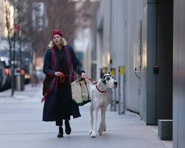 A woman with blond hair walks a white and black Great Dane.
