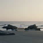 Still Single TIFF 2025 Masaki Saito Sushi documentary