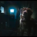 Good Boy