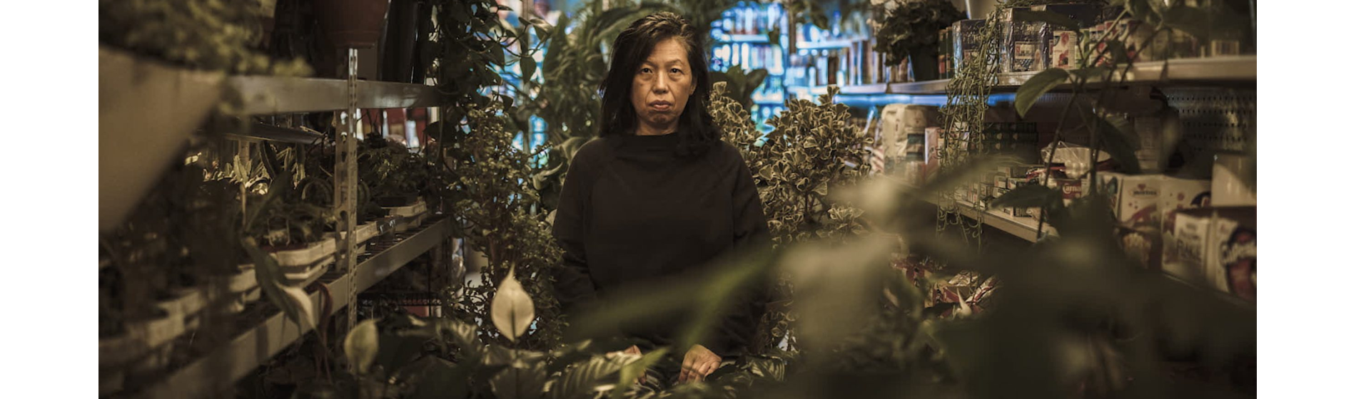 There Are No Words Min Sook Lee documentary review