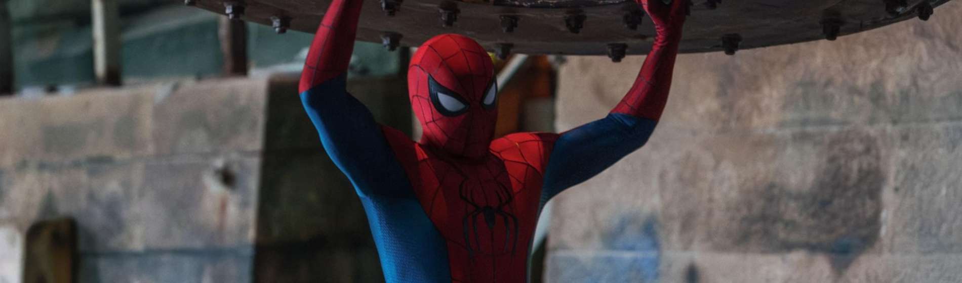 spider-man-brand-new-day-spider-man-strong