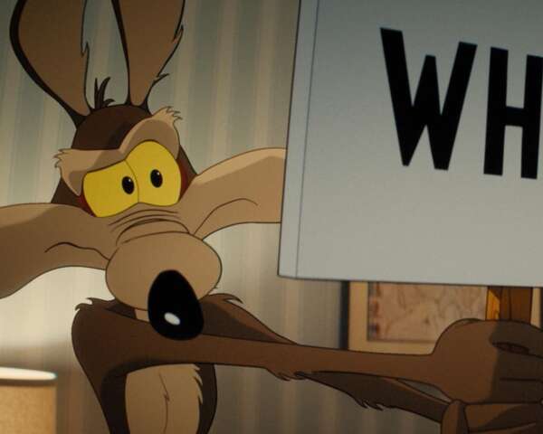 coyote vs. acme review
